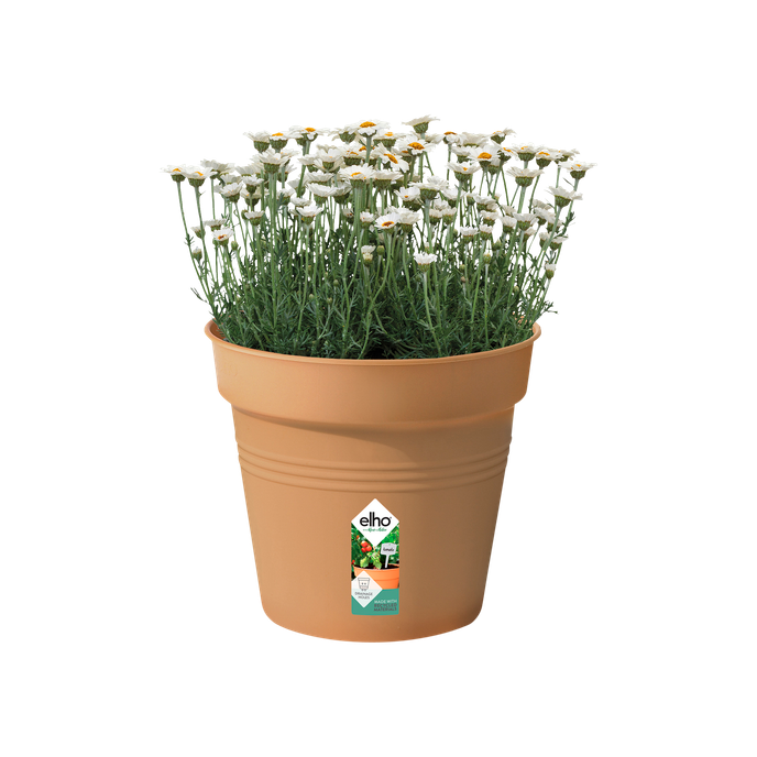 green basics growpot 30cm mild terra